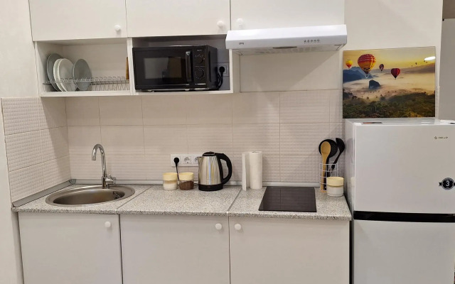 Apartments near Tolmachevo airport