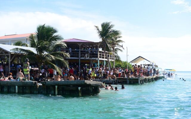 Belize Dive Haven