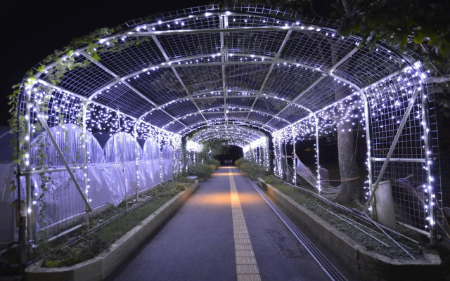 AIAI Farm