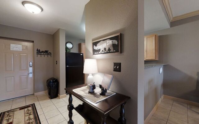 A Bear's Hibernation