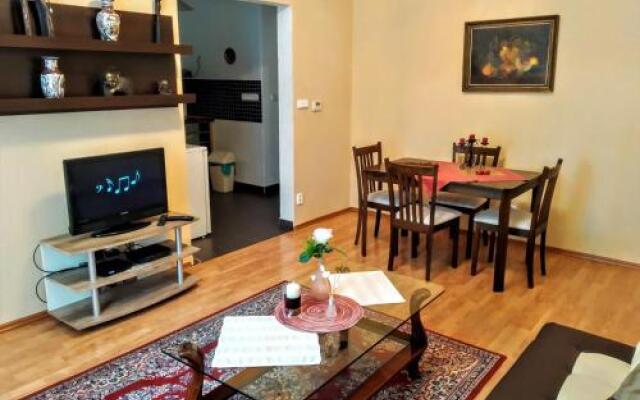 Apartment Sense of Zizkov