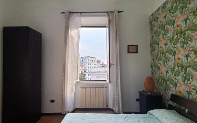 Colosseo Kokedama rooms