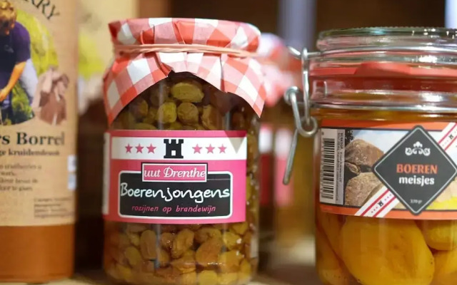 Relaxing Drenthe Retreat