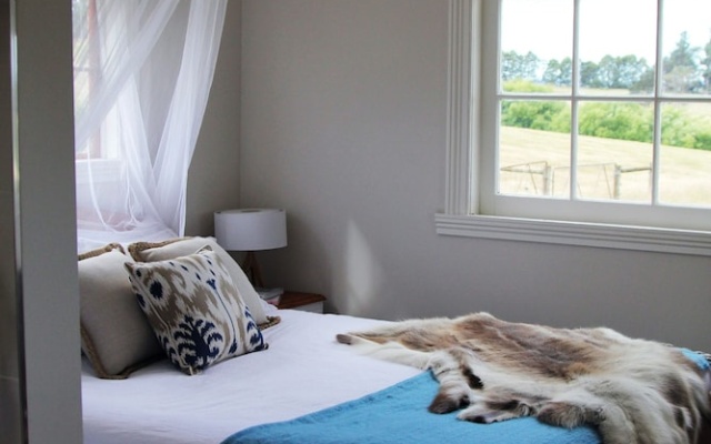 Wines for Joanie Cottage – Guest Rooms – Sidmouth