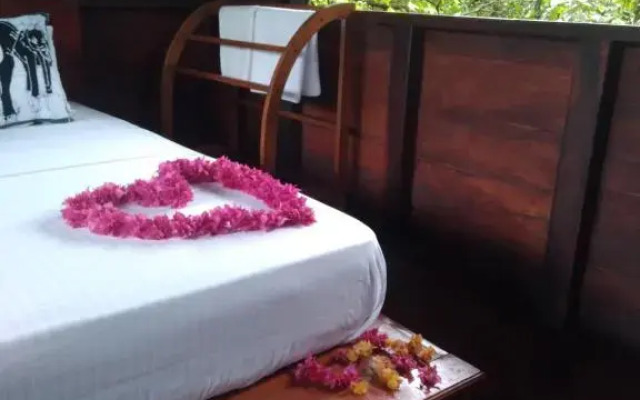 Dambulla Tree House