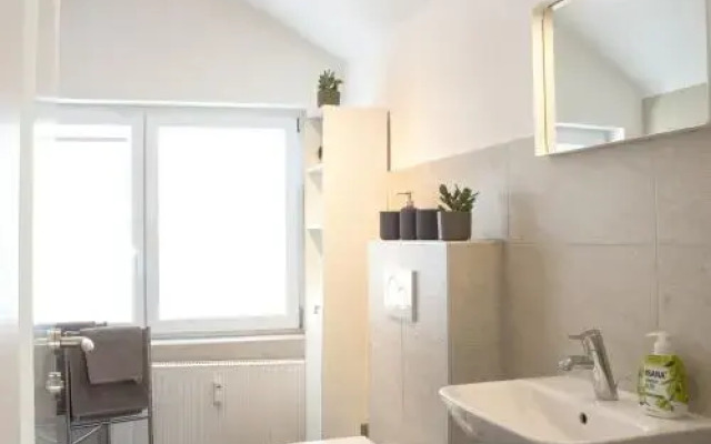 Über den Dächern Boppards