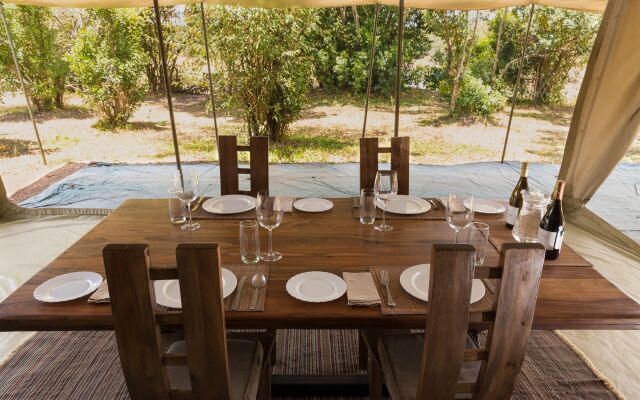 Hammerkop Migration Camp