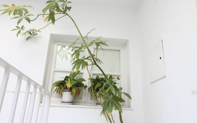 Deluxe Apartment San Luis