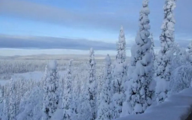Rukaj Rven Kelopirtit Hilla Kuusamo