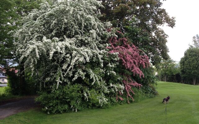 Schmankerl Hotel Bauer