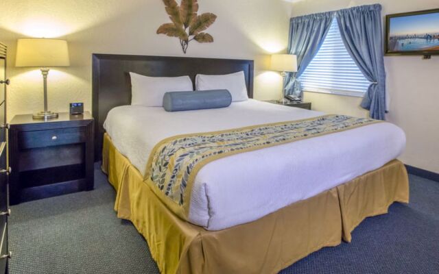 Tampa Waterfront 33183