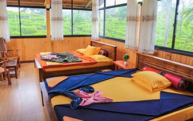 Yoho Tea Forest Lodge