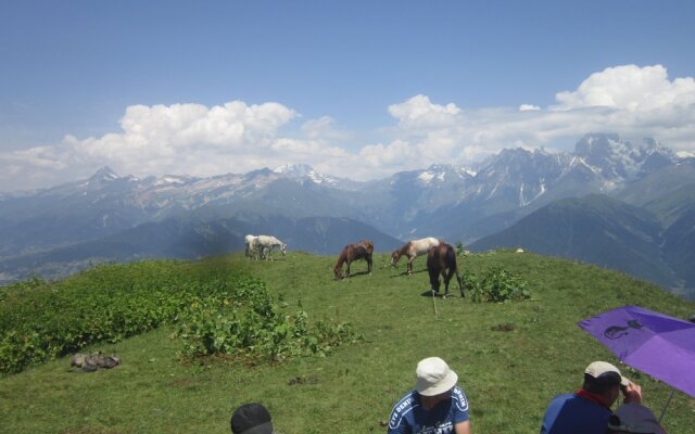 Ecohouse Svaneti