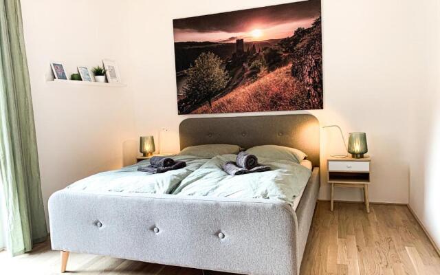 Home away from Home in a lovely vine region Bingen