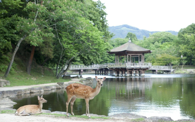 Noborioji Hotel Nara