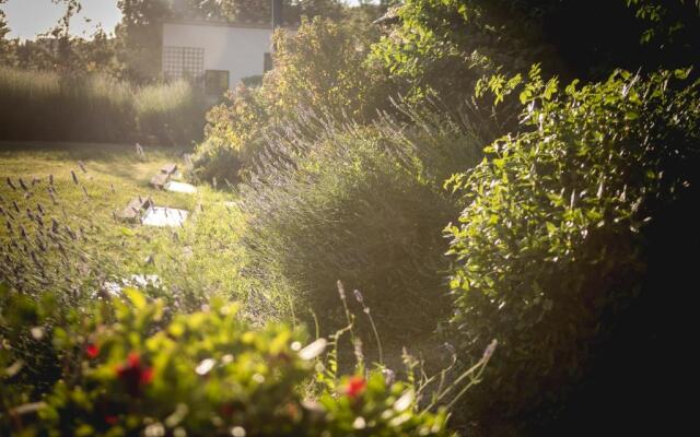 La Fonte di Montebuono