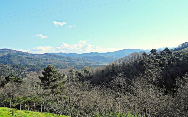 Spacious Holiday Home in Lucca With Swimming Pool