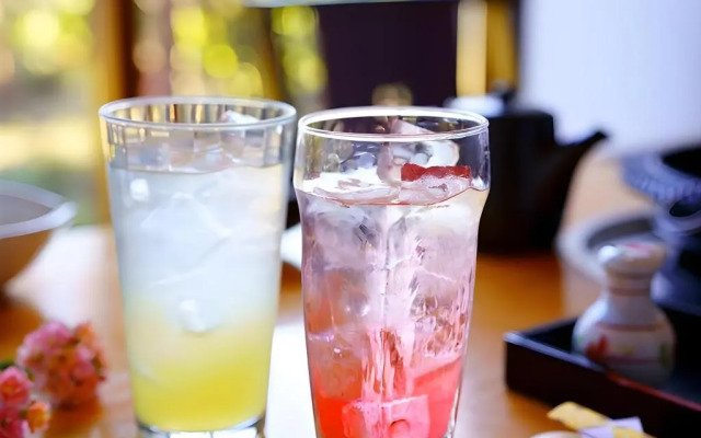 Yufuin Onsen Yufu no Irodori Yadoya Ohashi