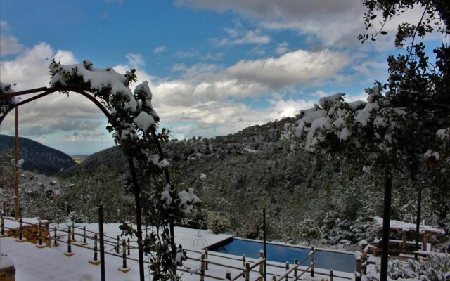 Blue Jay Valley