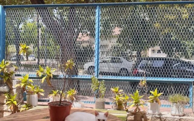 Ananta Hostel & Bar