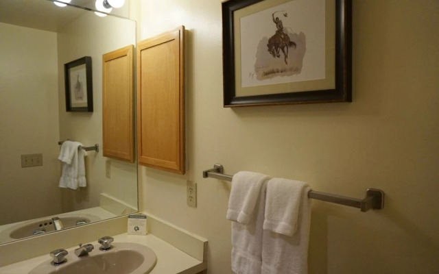 Snowmass Village 2 Bedroom Ski-In, Ski-Out Condo on Fanny Hill