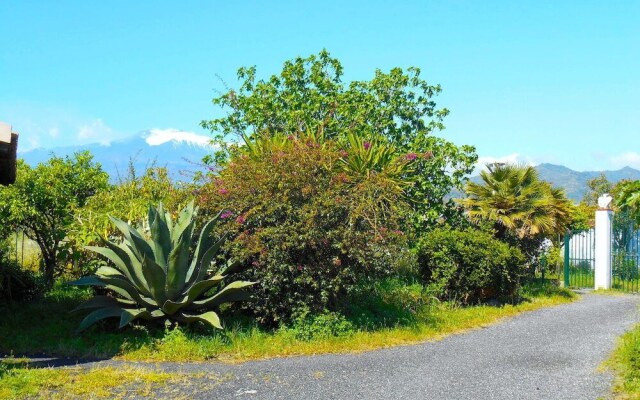 Villa Hibiscus