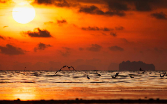 ibis Styles Phuket City Hotel