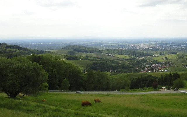 Ferienwohnung Burgblick