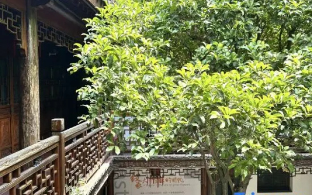 Chengxi Art Homestay – Exterior – Shanghai