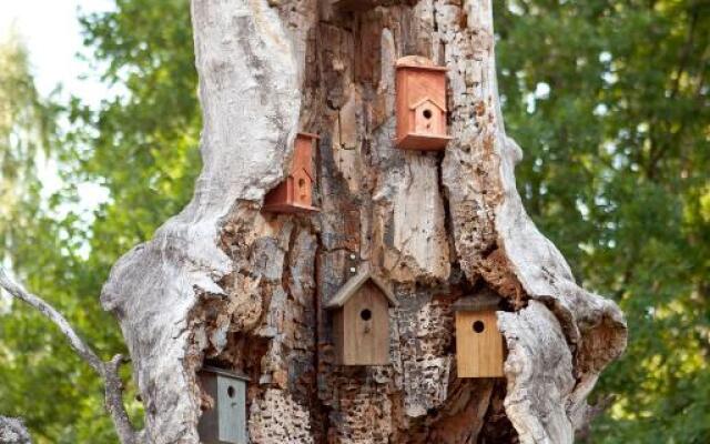 Linnumaja Guesthouse