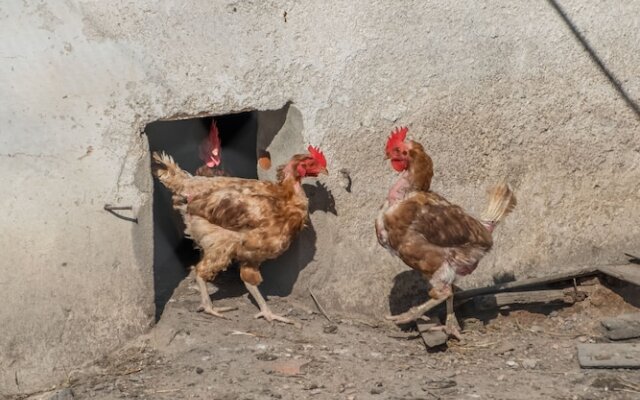 Eighteen21 Houses - Casa dos Condes