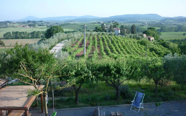 Il Ciliegio Errante
