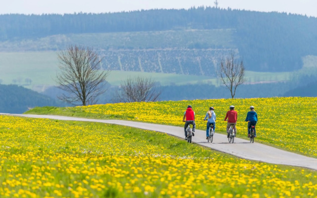 Sauerland Alpin Hotel