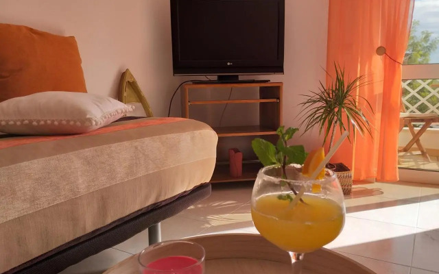 Pretty Sunny Guest Apartment
