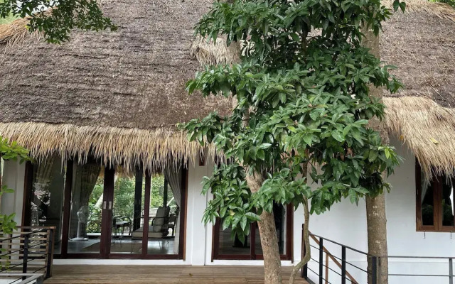 Big Tree Boutique Hotel