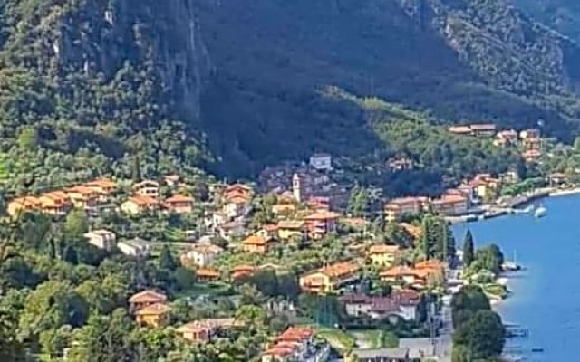L'erica