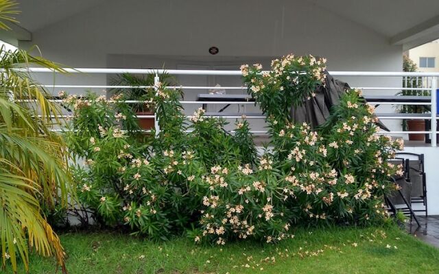 Pizarra House Residensial V