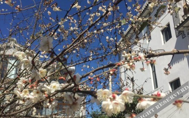 Rain Rungarden tales