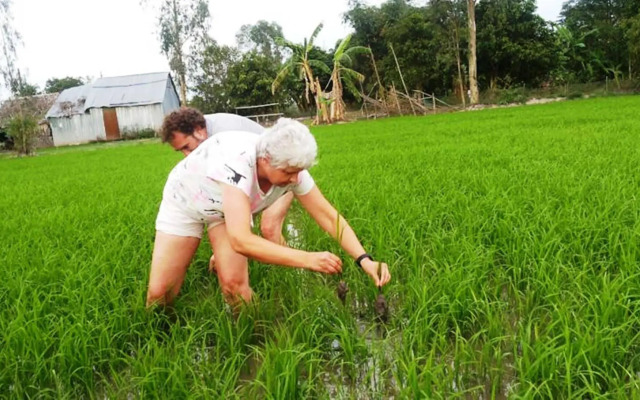 Kim Lan Homestay