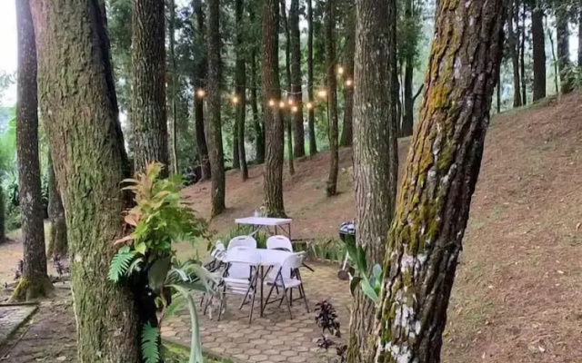 The Pine Forest Villas