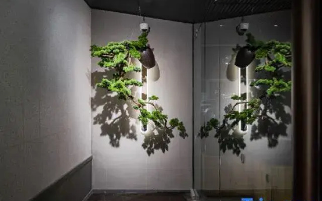 JIANGUO HIDDEN Hotel - Shanghai Lujiazui Software Park Store