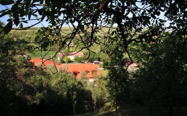 Pensiunea Meander