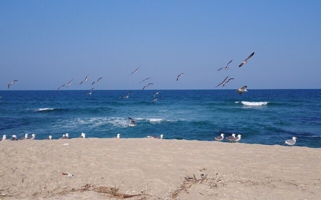 Gangneung Pension Sea and - Pet Friendly