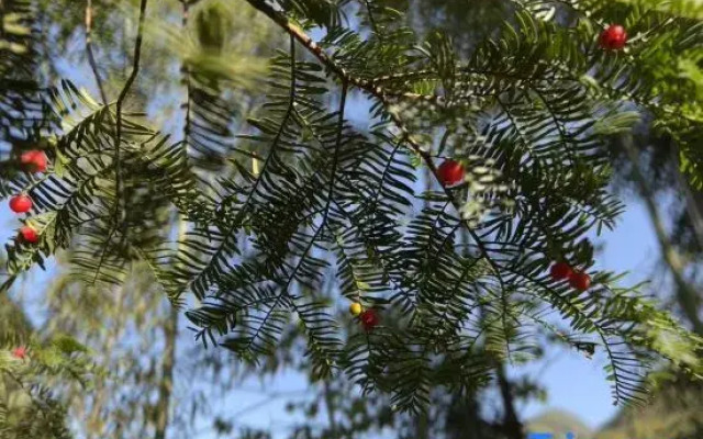 Xishan Shendu Hostel