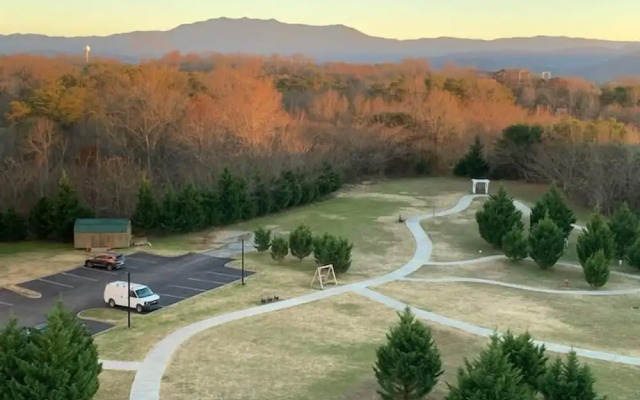 Mountain View Condo 3702