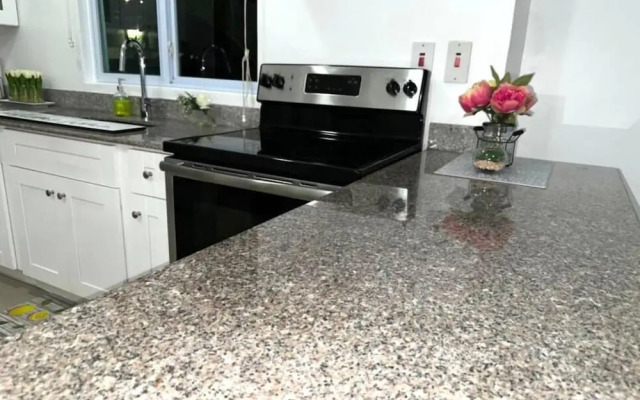 Modern 1BR Condo in Kingston
