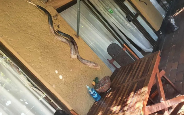 Breena BnB Guest House