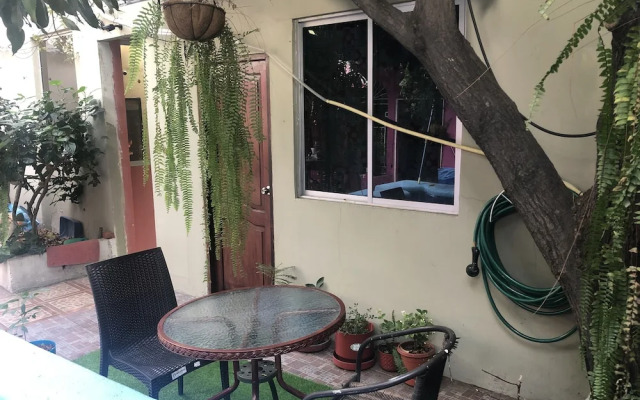 Funky Monkey Hostel