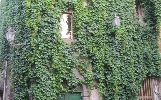 B&B Il Chicco D Uva