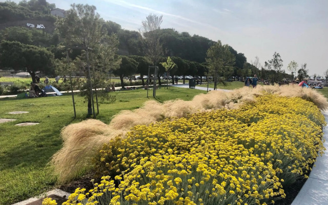 Pri piratski mački - At the pirate cat - Dal gatto pirata